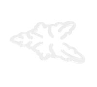 ifundom Supporto per Steli di Piante Monstera e Bonsai Fermo Stelo Resistente per Esterni Sostegno Decorativo per Steli Florali Antiribaltamento e Protezione da Piegature
