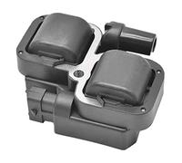 iFutniew Bobina di accensione esterna 2876049 4010425 per RZR 800 900 1000 XP EFI 2005-2020