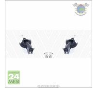 Ify Coppia Ammortizzatori xx Ant Per Peugeot Expert Tepee Diesel 2007>