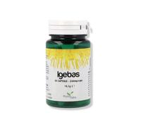IGEBAS 60CPS