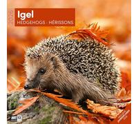 Igel Broschürenkalender 2026 - 30x30 - Art12 | Bildstarker Tier-Kalender im schlanken Hochformat (aufgeklappt 30x60 cm) | mit Eintrage-Kalendarium