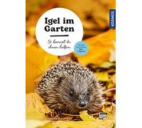 Igel im Garten: So kannst du ihnen helfen. Mit den wichtigsten Dos und Don'ts für einen igelfreundlichen Garten und die richtige Pflege von hilfsbedürftigen Igeln
