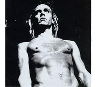 Iggy Pop - We Will Fall Iggy Pop ....