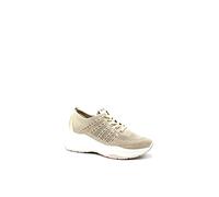 IGI&CO Donna Enola Scarpe con Lacci, Beige Taup Plat, 36 EU