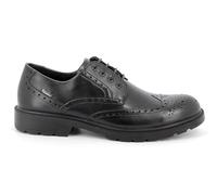 IGI&Co Scarpe Stringate Uomo Inverno 4602400 CITYROA GTX Nero (41)