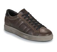 IgI&CO Sneakers U.SACHA in Marrone 43