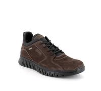 IGI&Co U.EDO GTX, Scarpe con Lacci Uomo, Caffe' EU 44