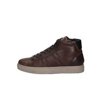 Igi&Co U.Sacha, Stivaletti Bassi con Lacci Uomo, Caffe', 45 EU