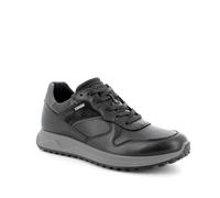 Igi&Co U.SARONNO GTX, Scarpe con Lacci Uomo, Nero, 43 EU