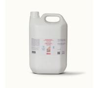 Igienizzante spray per mascherine e ambiente - 5 lt