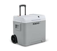 IGLOO IE42 AC/DC frigorifero elettrico con maniglia telescopica e ruote per auto e presa di corrente, mini-frigorifero 42 L, 12V e 230V, grigio