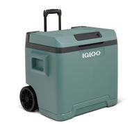 IGLOO IE42 Frigorifero Portatile Elettrico per Auto e Presa Elettrica 42L 12V e