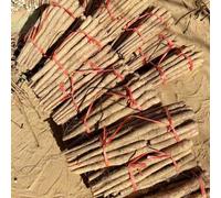 igname giardino del balcone giardino interno resistenti semi interni esotici semi biologici medicinali 200pcs