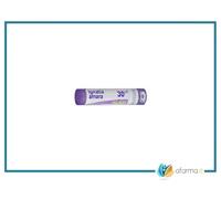 Ignatia amara 30 ch globuli dose unica 1gammo boiron