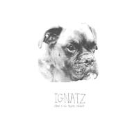 Ignatz - Can I Go Home Now?