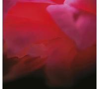 Ignis Fatuus IN OUR MAD BLISS - IGNIS FATUU (CD)