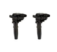 Ignition Coil 2PC Replaces 2730138020 for Hyundai Sonata 2.4L 1999-2005 for Kia Optima 2.4L 2001-2006 for Hyundai Santa Fe 2.4L 2001-2004