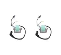 Ignition Coil Gruppo Bobina Accensione 2X 18-5196 581407 Per OMC Per Johnson Per Evinrude Per Motori Fuoribordo Sostituisce La Bobina 502880 Bobina Accensione