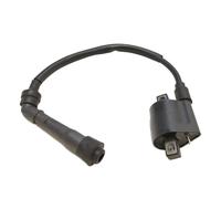 IGNITION COIL JIANSHE 400CC MOUNTAIN LION PUMP HENSIM JS400 ATV ROCKET GO KART