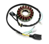 Ignition Generator Engine Per KL250 Super Sherpa 250 1997-1998 2000 2001 2002 2003 2004 2005-2010 Bobina Statore Magneto Generatore Moto