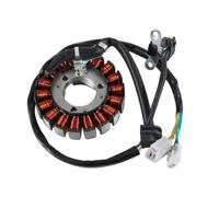 Ignizione Coil Rotor Stator Compatibile con SM125R RS125R Varez 125 Hoku 125 ACE OF SPADES 125 OUTLAW 125 Motorcycles ATVs 31140381