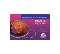 Igor Leonardo dos Santos Monique Si Infectious bronchitis. Main (Anello, filo)