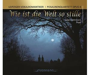 Igor Stravinsky Wie Ist Die Welt So Stille (CD) Album