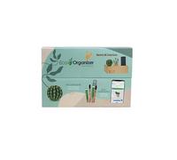iGreen Eco Organizer da Scrivania (Cactus), Porta Penne e Matite da Scrivania con Supporto per Smartphone e Kit di Crescita per Fiori & Piante