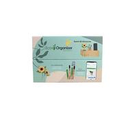 iGreen Eco Organizer da Scrivania (Girasole), Porta Penne e Matite da Scrivania con Supporto per Smartphone e Kit di Crescita per Fiori & Piante