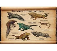 Iguane del mondo, cartelloni in metallo con informazioni sul vulcano, decorazione da parete per aule, poster in latta con infografica sulla scienza dei vulcani, collezione per la casa, 12x16 pollici