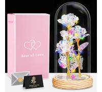 IGUGI Rosa Eterna con LED,Kit di Rose la Bella e la,Galaxy Rose,Kit di Rose,con Luci LED Regali Magici Decorazioni per Festa della Mamma della S.Valentino Anniversario di Matrimonio Vacanza