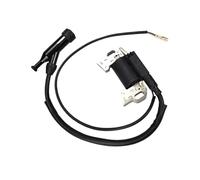 IGZLLBYJ Sostituzione del modulo Bobina di accensione per Motore Orizzontale OHV da 212 CC 6,5 1 PC Compatibile con Il Trasporto Marittimo