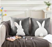 IHClink Set di 2 federe quadrate in velluto primaverile per cuscini decorativi ricamati in 3D Benny per soggiorno, divano e camera da letto, 45 x 45 cm (grigio)