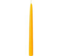 IHR - Coppia di Candele affusolate, 24 cm, Tinta Unita, Dark Yellow, 24cm x 2.1cm