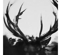 ihsahn - black yolk vinyl