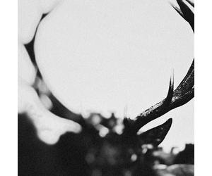 IHSAHN - HARD BOOK - ORCHESTRAL VERSION