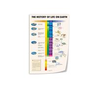 IINKUEYK History of Life Geological Timeline Metal Sign Evolution Chart Vintage Science Educational Art for Study Office (8 X 12