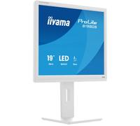 iiyama Monitor desktop, B1980S-W1-19, TN, 1280x1024/75Hz, 1H1DP, HAS