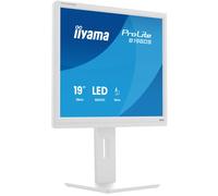 iiyama Monitor desktop, B1980S-W1-19, TN, 1280x1024/75Hz, 1H1DP, HAS