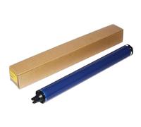 IJOSADON 200k Long Life Opc Drum compatibile con Altalink B8045 B8055 B8065 B8075 B8090 WorkCentre 5945 5955 5945i 5955i(Fuji)