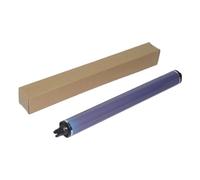 IJOSADON 200k Long Life Opc Drum compatibile con Altalink B8045 B8055 B8065 B8075 B8090 WorkCentre 5945 5955 5945i 5955i(XG Purple 200K)