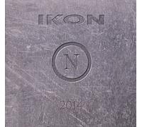 Ikon - Everyone, Everything, Everywhere Ends