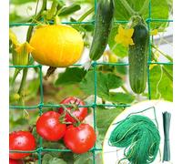 IKSAMY Rete per Piante Rampicanti 2x3m con Maglia Larga, Rete per Cetrioli - Rete per Piante Rampicanti, Supporto Ideale per Cetrioli, Pomodori, Giardini, Accessori per Serre