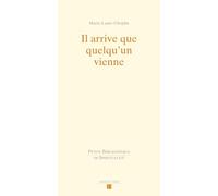 Il arrive que quelqu'un vienne: Variations sur l'accompagnement spirituel