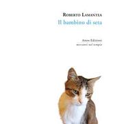 Il bambino di seta