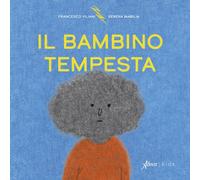 Il bambino tempesta. Ediz. a colori - Viliani Francesco