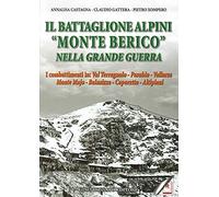 Il battaglione alpini «Monte Berico» nella grande guerra. I combattimenti in: val Terragnolo, Pasubio, Vallarsa, monte Majo, Bainsizza, Caporetto, altipiani