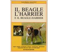 Il beagle, l'harrier e il beagle-harrier