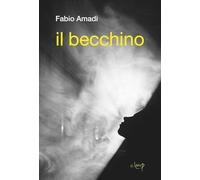 Il becchino