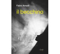 Il becchino